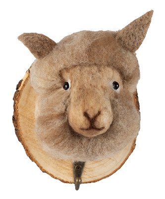 Gancio lama