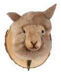 Kleiderhaken Lama
