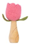 Tulipano