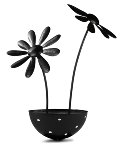 Fiore
