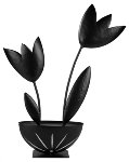 Tulipano
