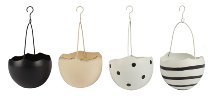 Oeufs suspendus ass. par 4